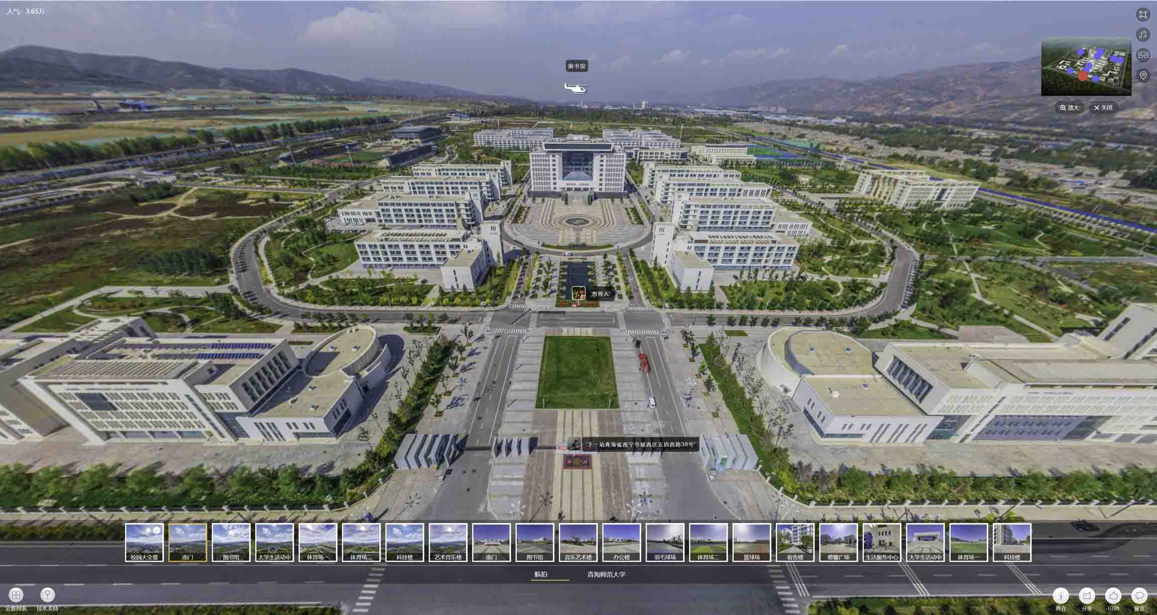 西吉油菜花-惊艳半生的花海仙境